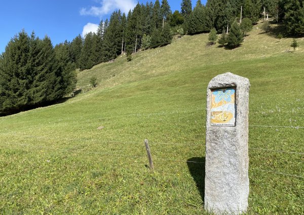 0001-tannheimertal-graen-vater-unser-weg.jpg