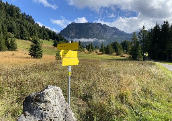 0005-tannheimertal-graen-vater-unser-weg.jpg