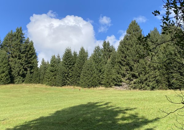 0008-tannheimertal-graen-vater-unser-weg.jpg