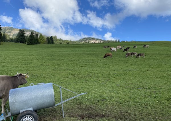 0017-tannheimertal-graen-vater-unser-weg.jpg