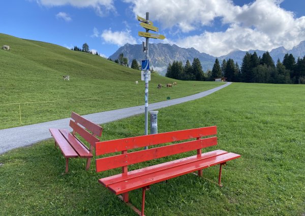 0019-tannheimertal-graen-vater-unser-weg.jpg