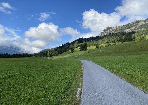 0023-tannheimertal-graen-vater-unser-weg.jpg