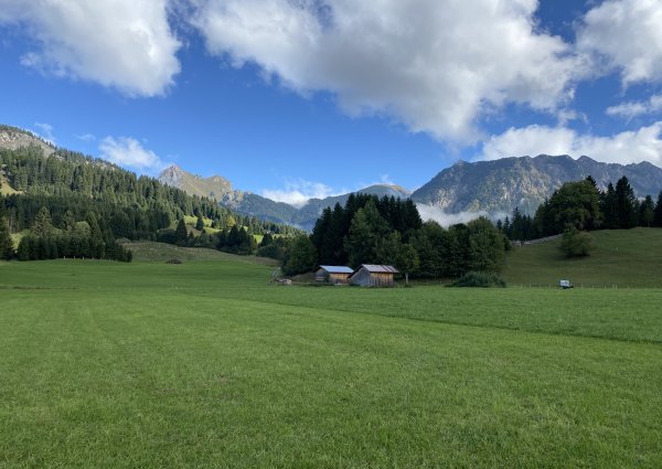 0024-tannheimertal-graen-vater-unser-weg.jpg