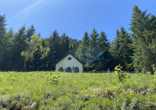 Von Nesselwängle nach Rauth