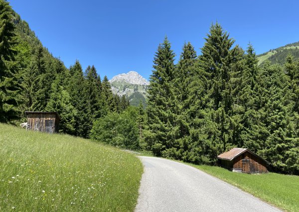 1722-tannheimertal-strasse-nach-rauth.jpg