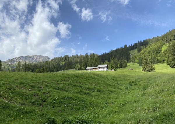 667_edenbachalm_tannheimertal_tirol.jpg