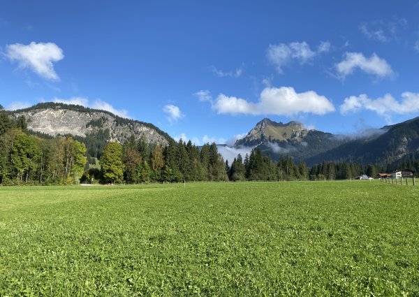 9969-tannheimertal-graen-vater-unser-weg.jpg