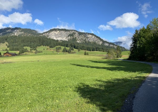 9971-tannheimertal-graen-vater-unser-weg.jpg