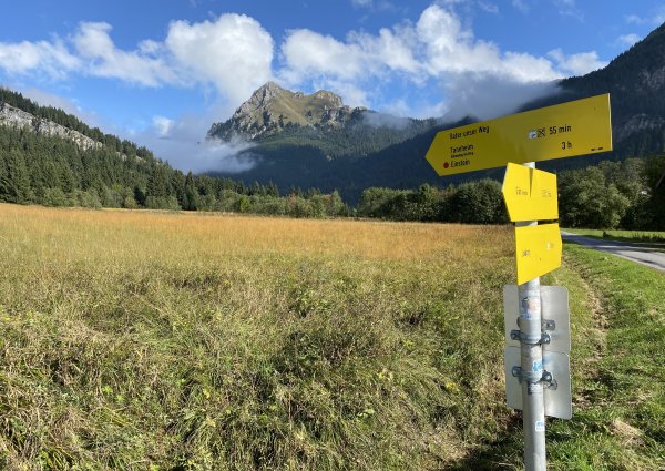 9976-tannheimertal-graen-vater-unser-weg.jpg