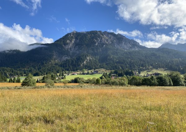 9980-tannheimertal-graen-vater-unser-weg.jpg