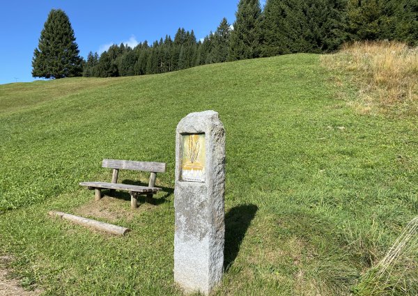 9983-tannheimertal-graen-vater-unser-weg.jpg