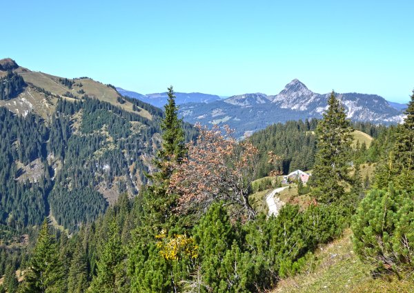 c-ulses-edenalpe-nesselwaengle-41.jpg