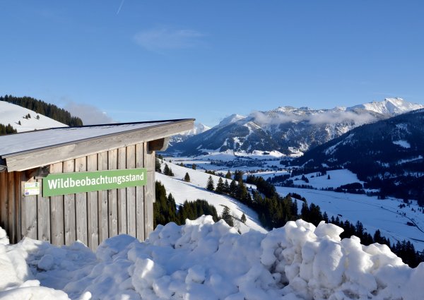 c-ulses-tannheimertal-aussicht-von-zoeblen-51.jpg