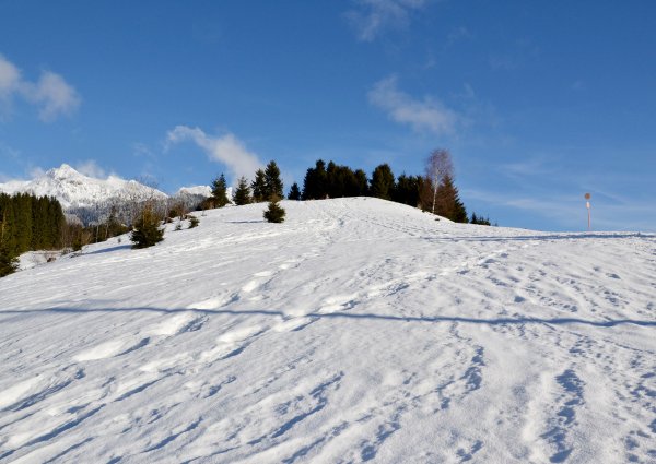 c-ulses-tannheimertal-winterlandschaft-graen-14.jpg