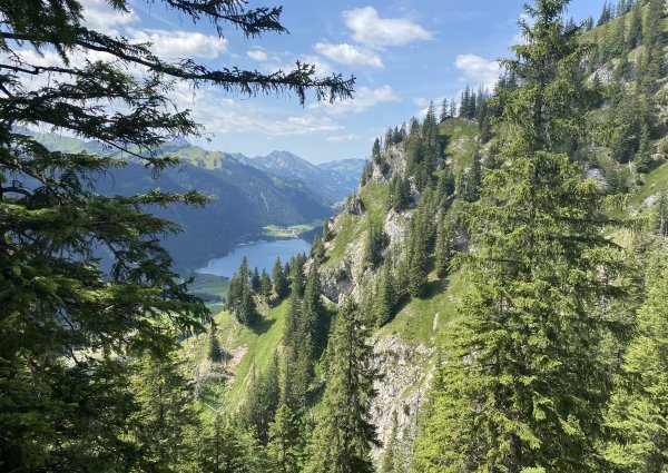 nesselwaengle-blick-haldensee-ulses-8521.jpg