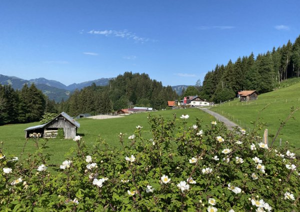 starzlachklamm-sonthofen-rundwanderweg-1837.jpg