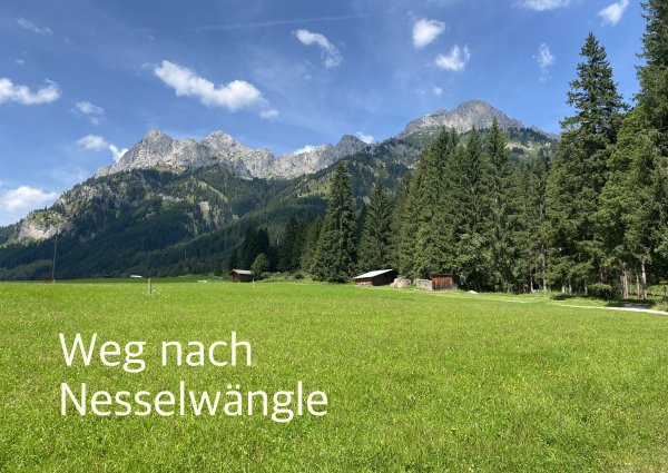 weg-nach-nesselwaengle-ulses-8527.jpg